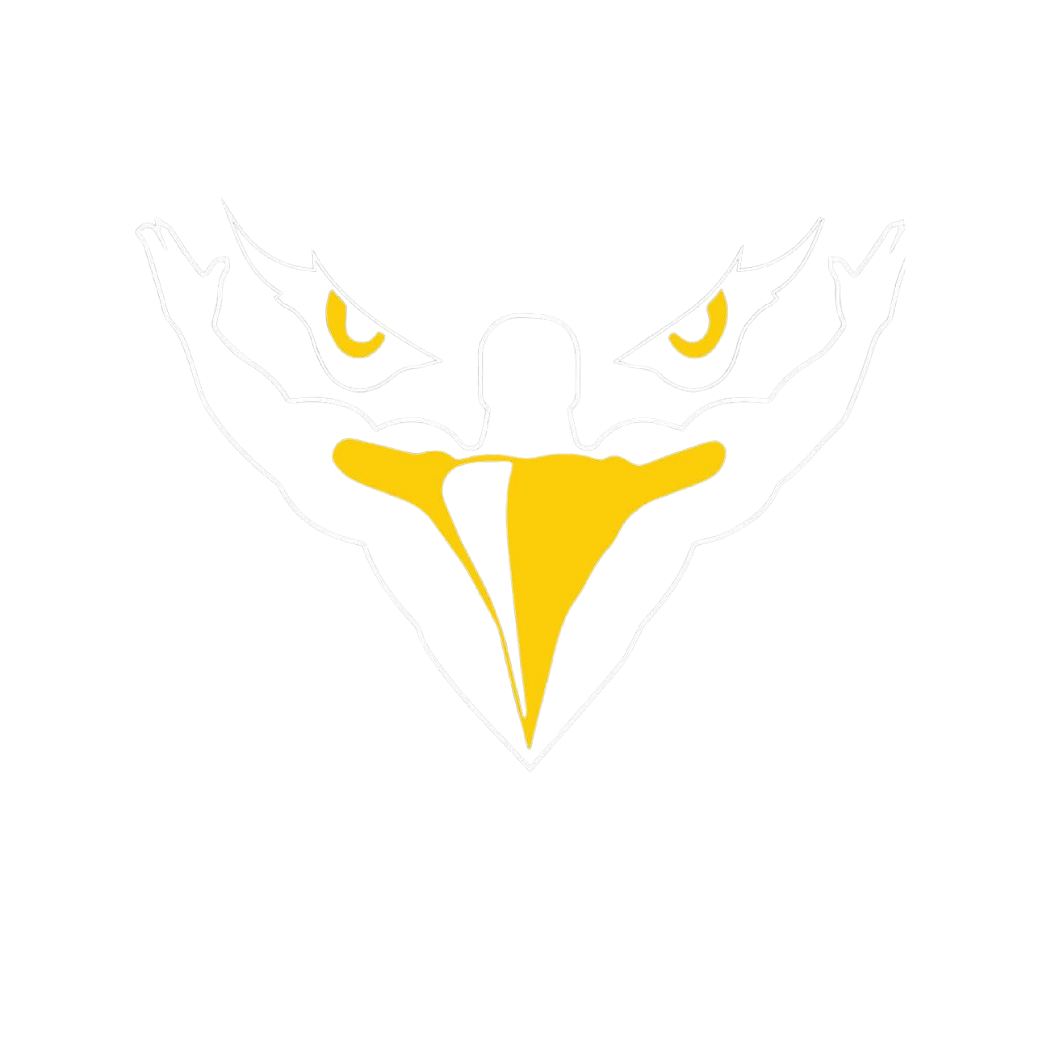 V-Fit Gym logo